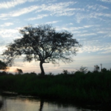 Rio Magdalena, Mompox